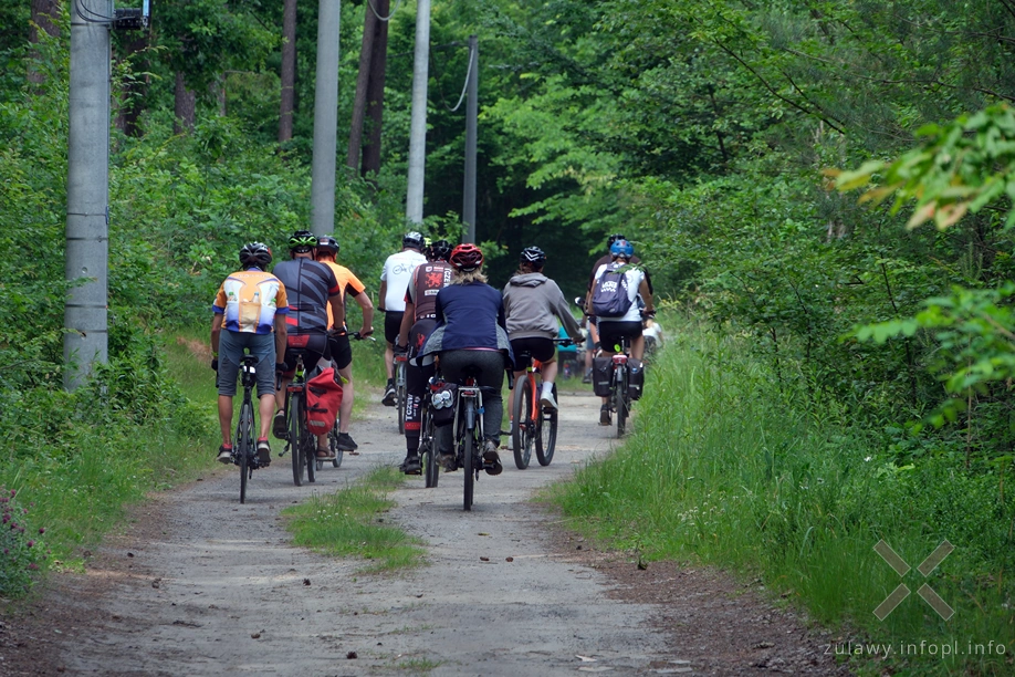 Pojezierze Dzierzgońsko-Morąskie Pojezierze Dzierzgońsko-Morąskie