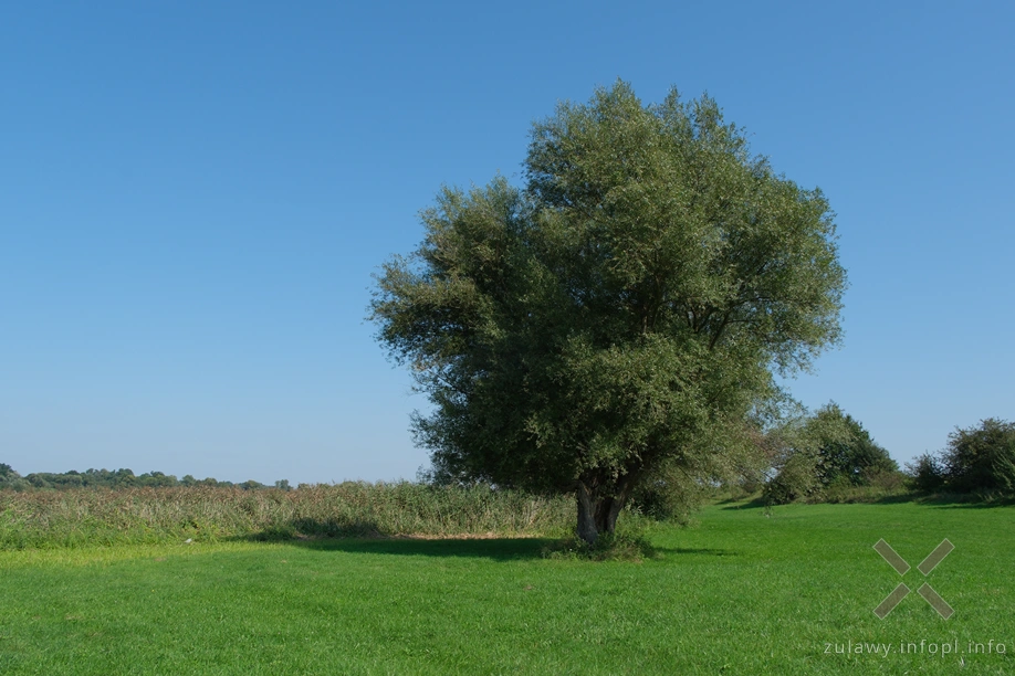 Pod Żydzią Górą Pod Żydzią Górą