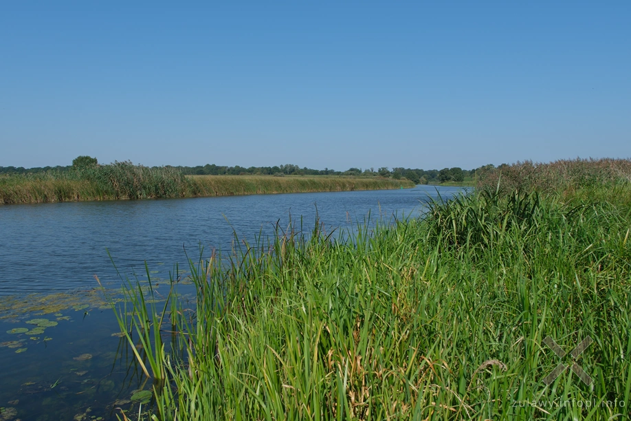 Nogat pod Żydzią Górą Nogat pod Żydzią Górą
