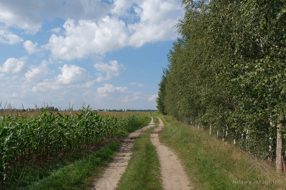 W Dolinie Kwidzyńskiej W Dolinie Kwidzyńskiej