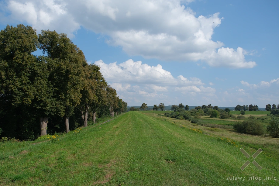 W Dolinie Kwidzyńskiej W Dolinie Kwidzyńskiej