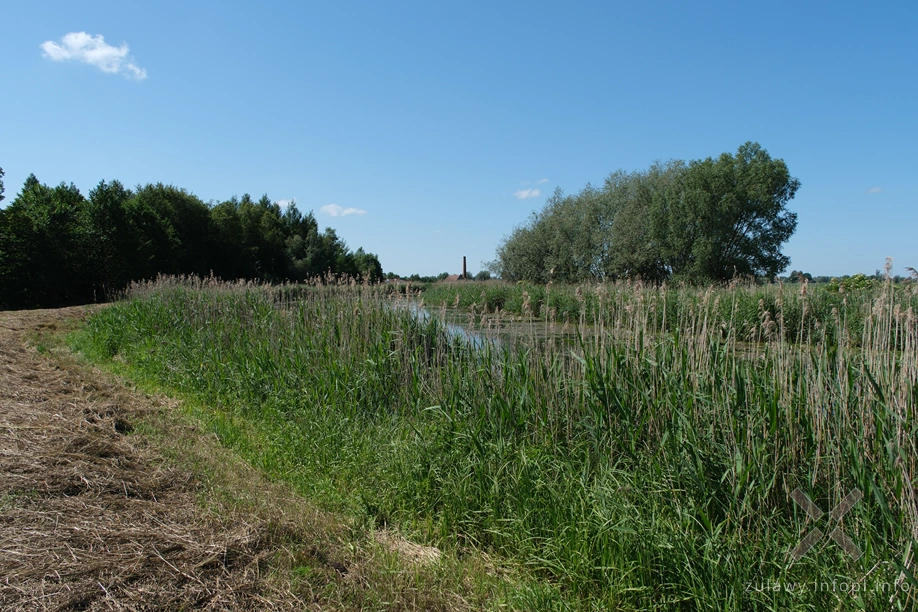 Żuławy- pompa w Różanach w tle Żuławy- pompa w Różanach w tle