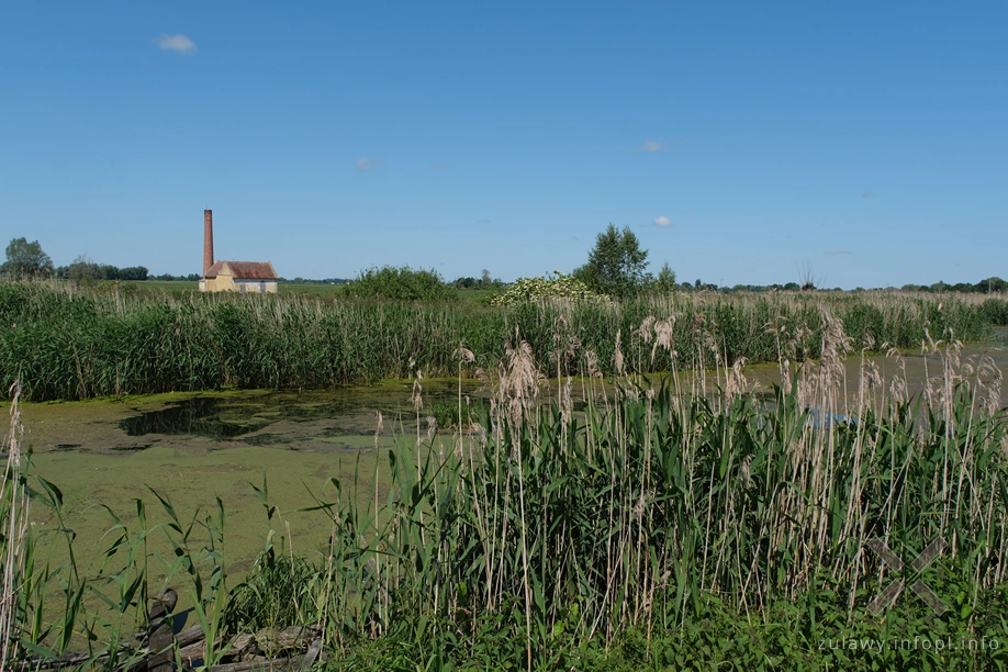 Żuławy- pompa w Różanach w tle Żuławy- pompa w Różanach w tle