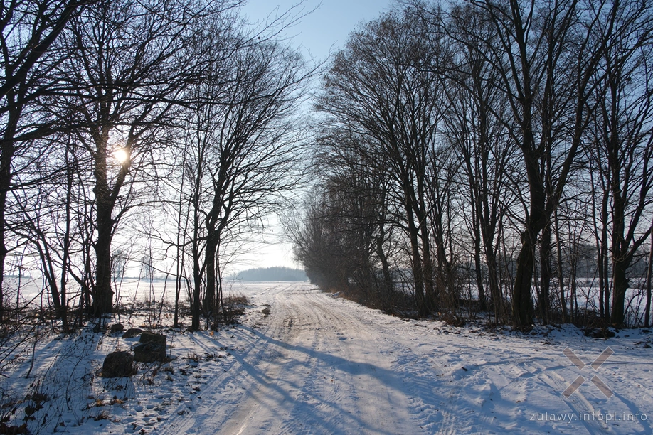 Pojezierze Dzierzgońsko-Morąskie